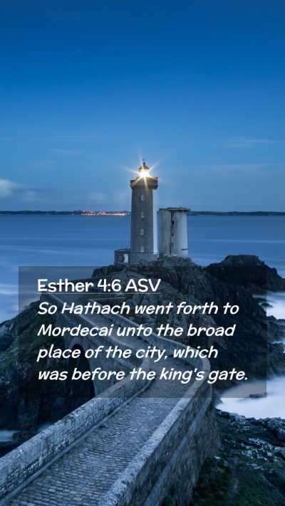 Picture 02 - Esther 4:6 ASV Mobile Phone Wallpaper - So Hathach went forth to Mordecai unto the broad - Mobile Bible Verse Wallpaper