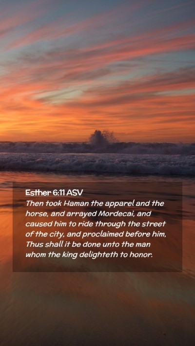 Picture 02 - Esther 6:11 ASV Mobile Phone Wallpaper - Then took Haman the apparel and the horse, and - Mobile Bible Verse Wallpaper