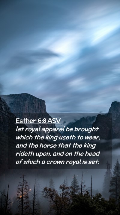 Picture 02 - Esther 6:8 ASV Mobile Phone Wallpaper - let royal apparel be brought which the king useth - Mobile Bible Verse Wallpaper