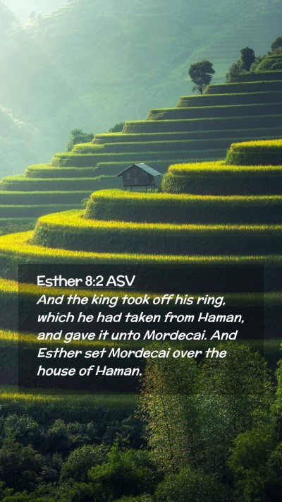 Picture 02 - Esther 8:2 ASV Mobile Phone Wallpaper - And the king took off his ring, which he had - Mobile Bible Verse Wallpaper