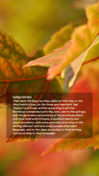 Picture 02 - Esther 8:9 ASV Mobile Phone Wallpaper - Then were the king's scribes called at that time, - Mobile Bible Verse Wallpaper
