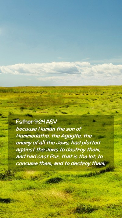 Picture 02 - Esther 9:24 ASV Mobile Phone Wallpaper - because Haman the son of Hammedatha, the Agagite, - Mobile Bible Verse Wallpaper