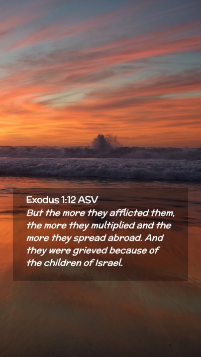 Picture 02 - Exodus 1:12 ASV Mobile Phone Wallpaper - But the more they afflicted them, the more they - Mobile Bible Verse Wallpaper