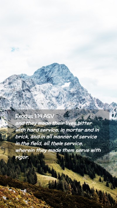 Picture 02 - Exodus 1:14 ASV Mobile Phone Wallpaper - and they made their lives bitter with hard - Mobile Bible Verse Wallpaper