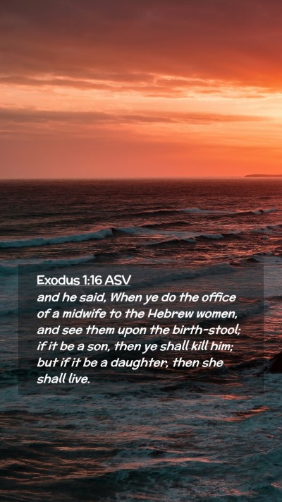 Picture 02 - Exodus 1:16 ASV Mobile Phone Wallpaper - and he said, When ye do the office of a midwife - Mobile Bible Verse Wallpaper