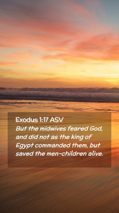 Picture 02 - Exodus 1:17 ASV Mobile Phone Wallpaper - But the midwives feared God, and did not as the - Mobile Bible Verse Wallpaper