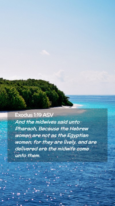 Picture 02 - Exodus 1:19 ASV Mobile Phone Wallpaper - And the midwives said unto Pharaoh, Because the - Mobile Bible Verse Wallpaper