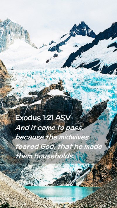 Picture 02 - Exodus 1:21 ASV Mobile Phone Wallpaper - And it came to pass, because the midwives feared - Mobile Bible Verse Wallpaper