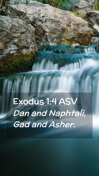 Picture 02 - Exodus 1:4 ASV Mobile Phone Wallpaper - Dan and Naphtali, Gad and - Mobile Bible Verse Wallpaper