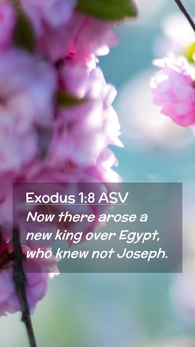 Picture 02 - Exodus 1:8 ASV Mobile Phone Wallpaper - Now there arose a new king over Egypt, who knew - Mobile Bible Verse Wallpaper