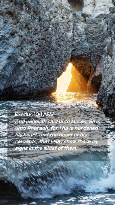 Picture 02 - Exodus 10:1 ASV Mobile Phone Wallpaper - And Jehovah said unto Moses, Go in unto Pharaoh: - Mobile Bible Verse Wallpaper