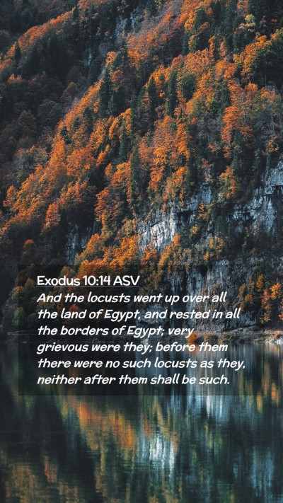 Picture 02 - Exodus 10:14 ASV Mobile Phone Wallpaper - And the locusts went up over all the land of - Mobile Bible Verse Wallpaper