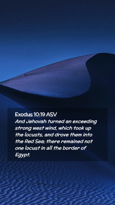 Picture 02 - Exodus 10:19 ASV Mobile Phone Wallpaper - And Jehovah turned an exceeding strong west wind, - Mobile Bible Verse Wallpaper