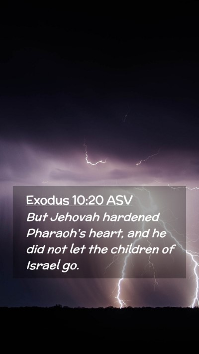 Picture 02 - Exodus 10:20 ASV Mobile Phone Wallpaper - But Jehovah hardened Pharaoh's heart, and he did - Mobile Bible Verse Wallpaper