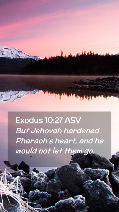 Picture 02 - Exodus 10:27 ASV Mobile Phone Wallpaper - But Jehovah hardened Pharaoh's heart, and he - Mobile Bible Verse Wallpaper