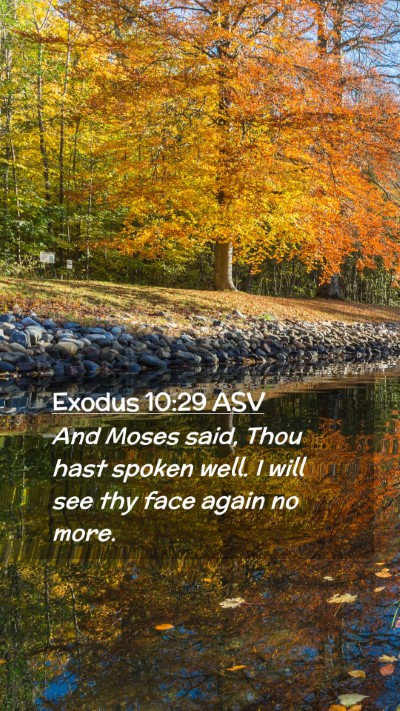 Picture 02 - Exodus 10:29 ASV Mobile Phone Wallpaper - And Moses said, Thou hast spoken well. I will see - Mobile Bible Verse Wallpaper