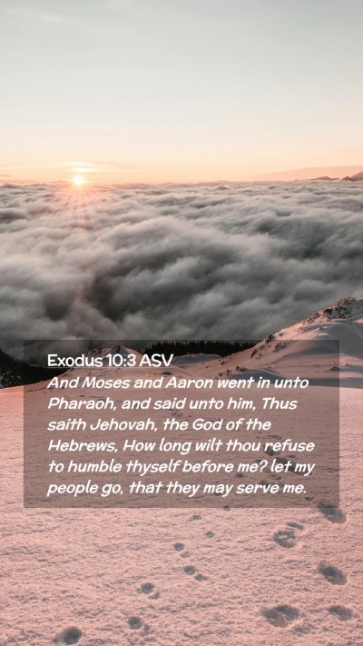 Picture 02 - Exodus 10:3 ASV Mobile Phone Wallpaper - And Moses and Aaron went in unto Pharaoh, and - Mobile Bible Verse Wallpaper
