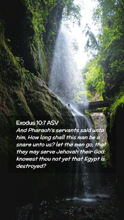 Picture 02 - Exodus 10:7 ASV Mobile Phone Wallpaper - And Pharaoh's servants said unto him, How long - Mobile Bible Verse Wallpaper