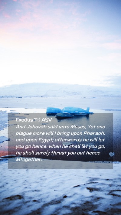 Picture 02 - Exodus 11:1 ASV Mobile Phone Wallpaper - And Jehovah said unto Moses, Yet one plague more - Mobile Bible Verse Wallpaper
