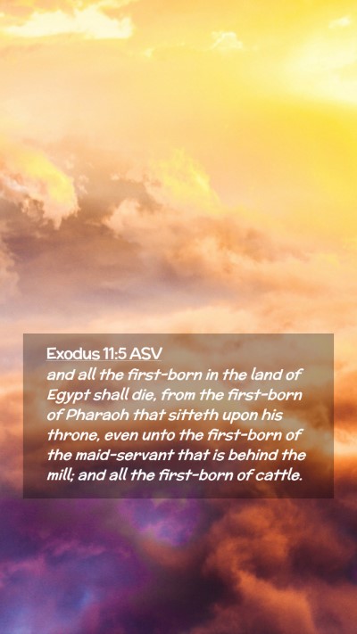 Picture 02 - Exodus 11:5 ASV Mobile Phone Wallpaper - and all the first-born in the land of Egypt shall - Mobile Bible Verse Wallpaper