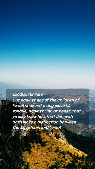 Picture 02 - Exodus 11:7 ASV Mobile Phone Wallpaper - But against any of the children of Israel shall - Mobile Bible Verse Wallpaper