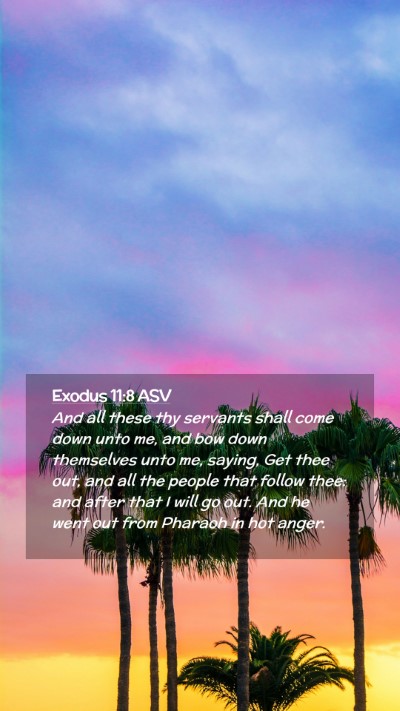 Picture 02 - Exodus 11:8 ASV Mobile Phone Wallpaper - And all these thy servants shall come down unto - Mobile Bible Verse Wallpaper