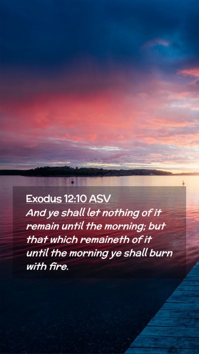 Picture 02 - Exodus 12:10 ASV Mobile Phone Wallpaper - And ye shall let nothing of it remain until the - Mobile Bible Verse Wallpaper