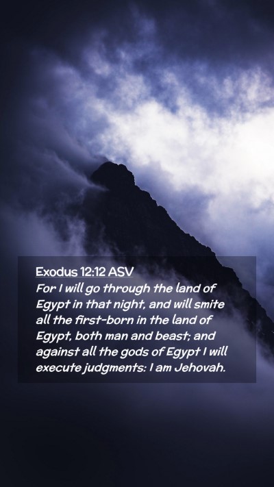 Picture 02 - Exodus 12:12 ASV Mobile Phone Wallpaper - For I will go through the land of Egypt in that - Mobile Bible Verse Wallpaper