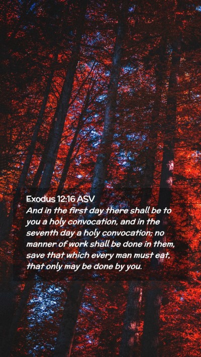 Picture 02 - Exodus 12:16 ASV Mobile Phone Wallpaper - And in the first day there shall be to you a holy - Mobile Bible Verse Wallpaper