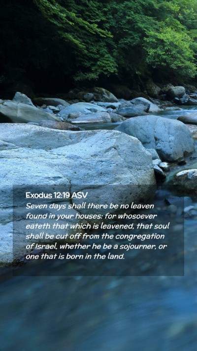 Picture 02 - Exodus 12:19 ASV Mobile Phone Wallpaper - Seven days shall there be no leaven found in your - Mobile Bible Verse Wallpaper