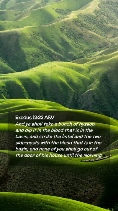 Picture 02 - Exodus 12:22 ASV Mobile Phone Wallpaper - And ye shall take a bunch of hyssop, and dip it - Mobile Bible Verse Wallpaper