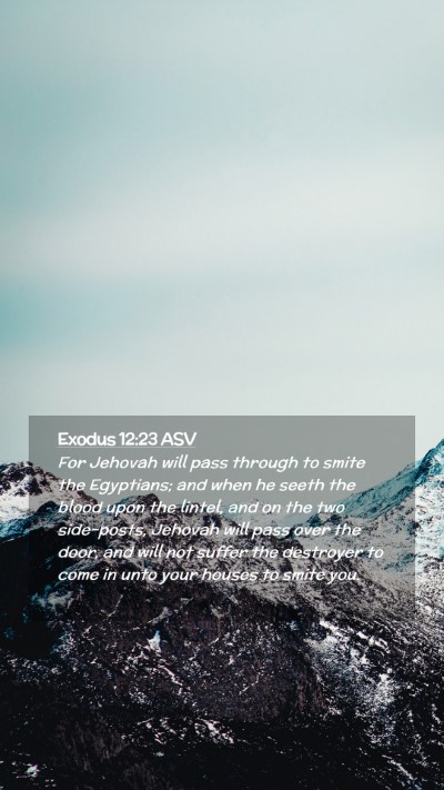 Picture 02 - Exodus 12:23 ASV Mobile Phone Wallpaper - For Jehovah will pass through to smite the - Mobile Bible Verse Wallpaper