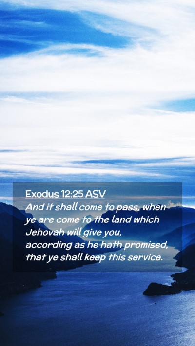 Picture 02 - Exodus 12:25 ASV Mobile Phone Wallpaper - And it shall come to pass, when ye are come to - Mobile Bible Verse Wallpaper