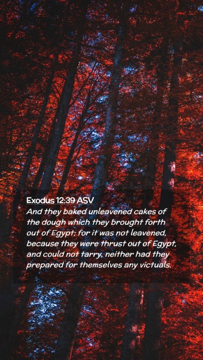 Picture 02 - Exodus 12:39 ASV Mobile Phone Wallpaper - And they baked unleavened cakes of the dough - Mobile Bible Verse Wallpaper