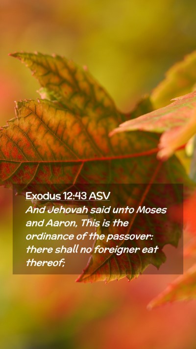 Picture 02 - Exodus 12:43 ASV Mobile Phone Wallpaper - And Jehovah said unto Moses and Aaron, This is - Mobile Bible Verse Wallpaper