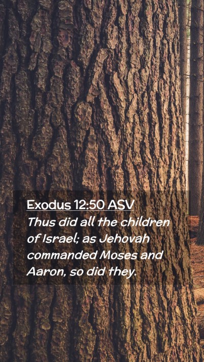Picture 02 - Exodus 12:50 ASV Mobile Phone Wallpaper - Thus did all the children of Israel; as Jehovah - Mobile Bible Verse Wallpaper