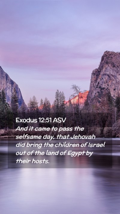 Picture 02 - Exodus 12:51 ASV Mobile Phone Wallpaper - And it came to pass the selfsame day, that - Mobile Bible Verse Wallpaper