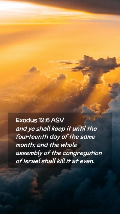 Picture 02 - Exodus 12:6 ASV Mobile Phone Wallpaper - and ye shall keep it until the fourteenth day of - Mobile Bible Verse Wallpaper