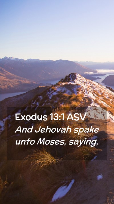 Picture 02 - Exodus 13:1 ASV Mobile Phone Wallpaper - And Jehovah spake unto Moses, - Mobile Bible Verse Wallpaper