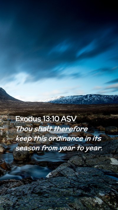 Picture 02 - Exodus 13:10 ASV Mobile Phone Wallpaper - Thou shalt therefore keep this ordinance in its - Mobile Bible Verse Wallpaper