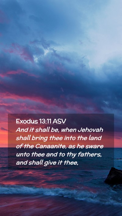 Picture 02 - Exodus 13:11 ASV Mobile Phone Wallpaper - And it shall be, when Jehovah shall bring thee - Mobile Bible Verse Wallpaper