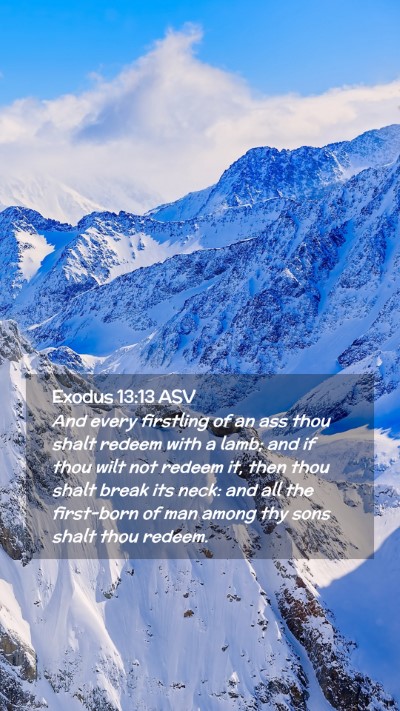 Picture 02 - Exodus 13:13 ASV Mobile Phone Wallpaper - And every firstling of an ass thou shalt redeem - Mobile Bible Verse Wallpaper