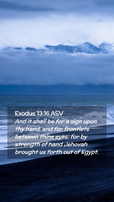 Picture 02 - Exodus 13:16 ASV Mobile Phone Wallpaper - And it shall be for a sign upon thy hand, and for - Mobile Bible Verse Wallpaper