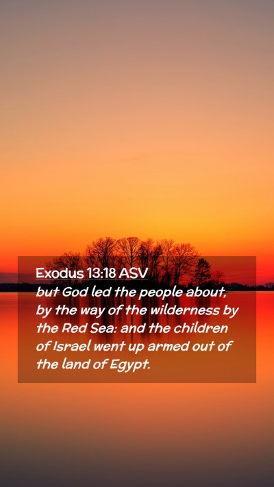 Picture 02 - Exodus 13:18 ASV Mobile Phone Wallpaper - but God led the people about, by the way of the - Mobile Bible Verse Wallpaper