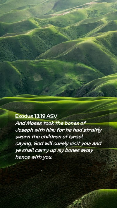 Picture 02 - Exodus 13:19 ASV Mobile Phone Wallpaper - And Moses took the bones of Joseph with him: for - Mobile Bible Verse Wallpaper