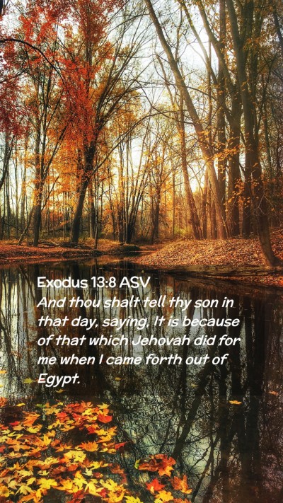 Picture 02 - Exodus 13:8 ASV Mobile Phone Wallpaper - And thou shalt tell thy son in that day, saying, - Mobile Bible Verse Wallpaper