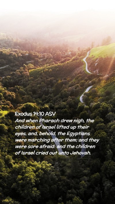 Picture 02 - Exodus 14:10 ASV Mobile Phone Wallpaper - And when Pharaoh drew nigh, the children of - Mobile Bible Verse Wallpaper
