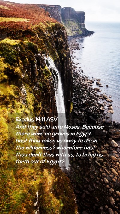 Picture 02 - Exodus 14:11 ASV Mobile Phone Wallpaper - And they said unto Moses, Because there were no - Mobile Bible Verse Wallpaper