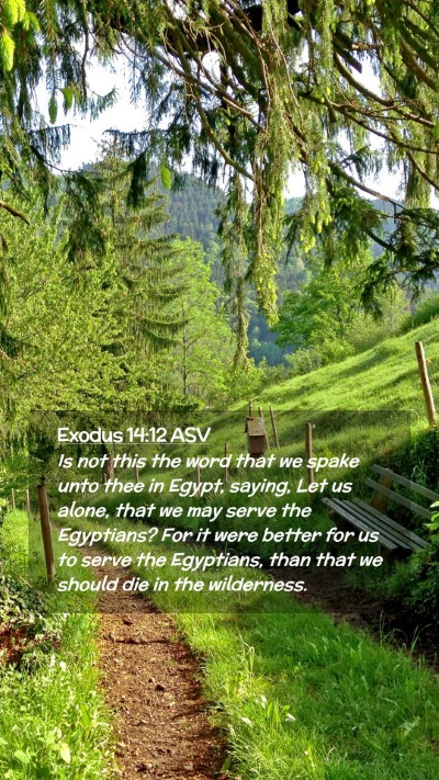 Picture 02 - Exodus 14:12 ASV Mobile Phone Wallpaper - Is not this the word that we spake unto thee in - Mobile Bible Verse Wallpaper