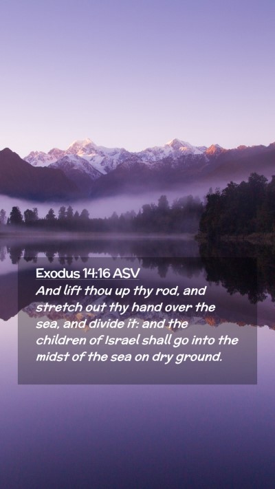 Picture 02 - Exodus 14:16 ASV Mobile Phone Wallpaper - And lift thou up thy rod, and stretch out thy - Mobile Bible Verse Wallpaper